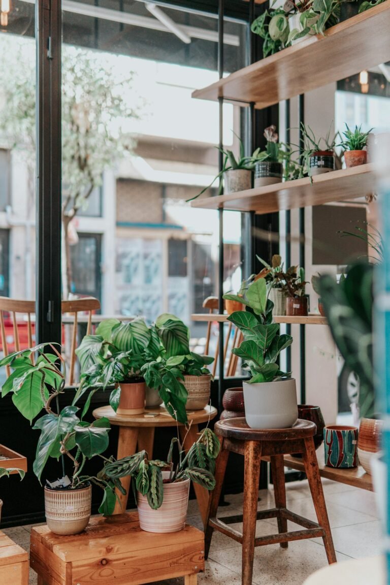 Potted plants on wooden stools and shelves in a sunlit apartment