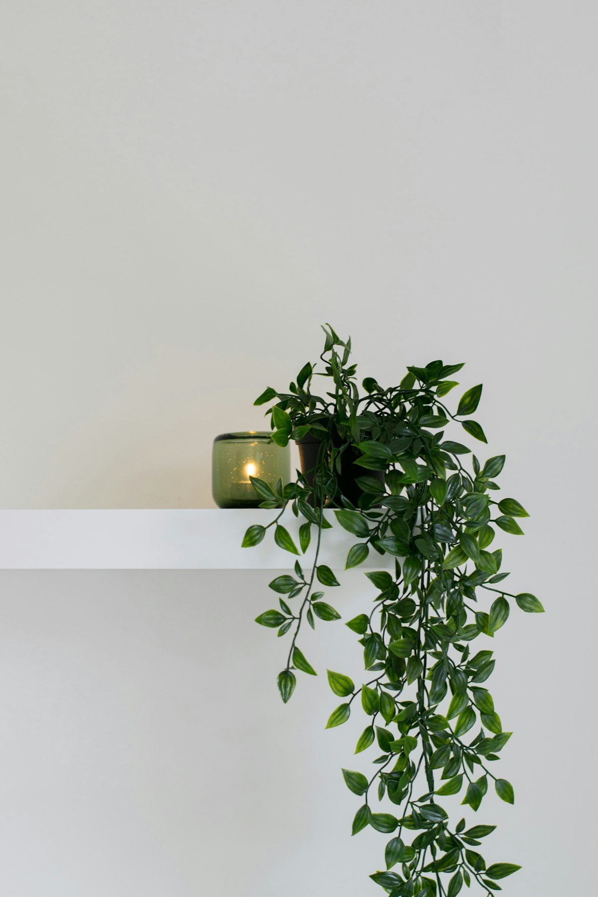 Trailing green plant on a floating shelf