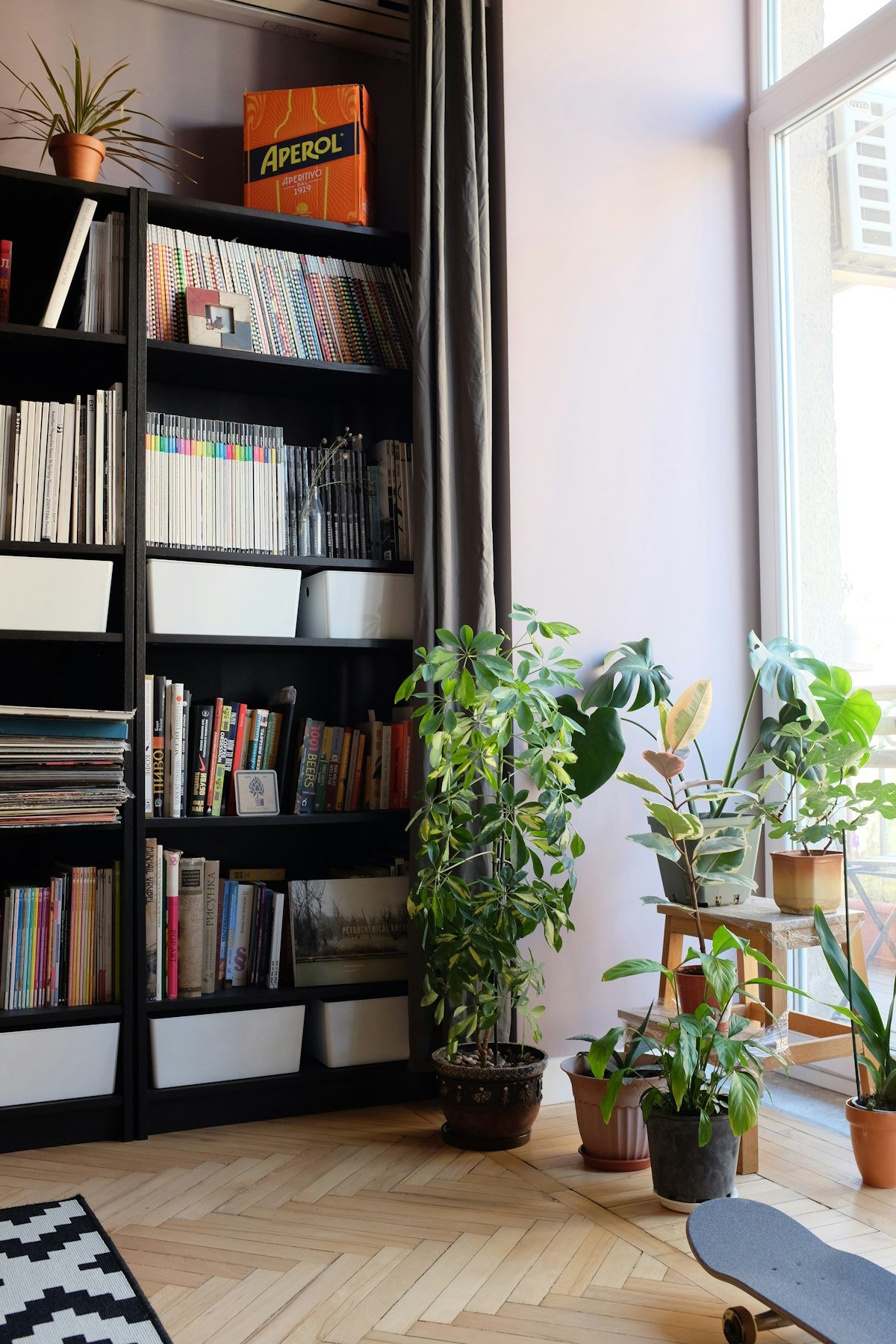 Leafy indoor plants beside a bookcase with books