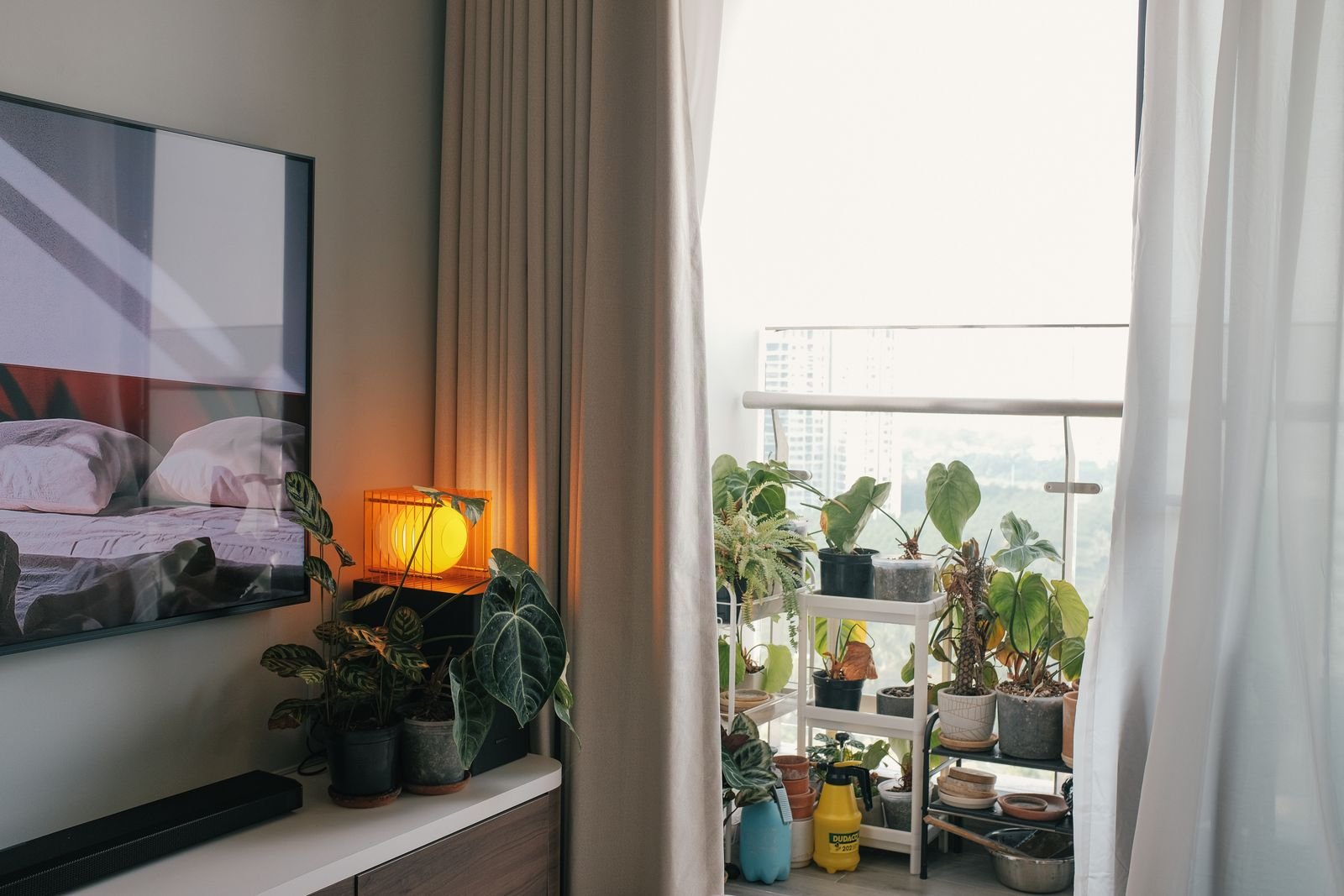 Indoor shelf and windowsill styled with houseplants in a small apartment