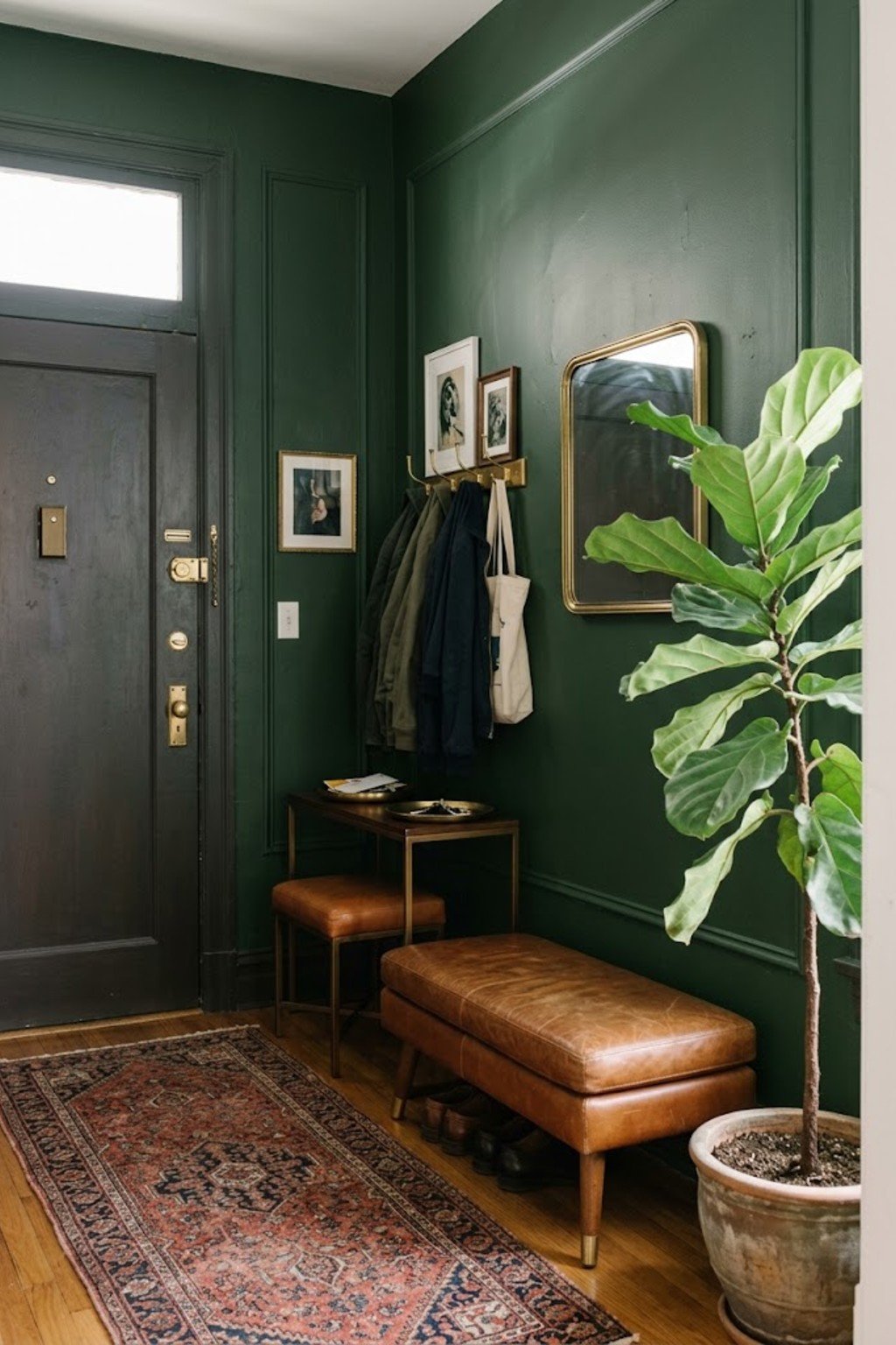 Add a tall plant as a border in a small apartment entryway