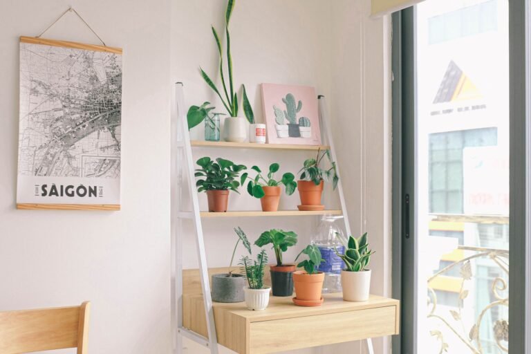 Ladder shelf styled with potted houseplants beside an apartment window
