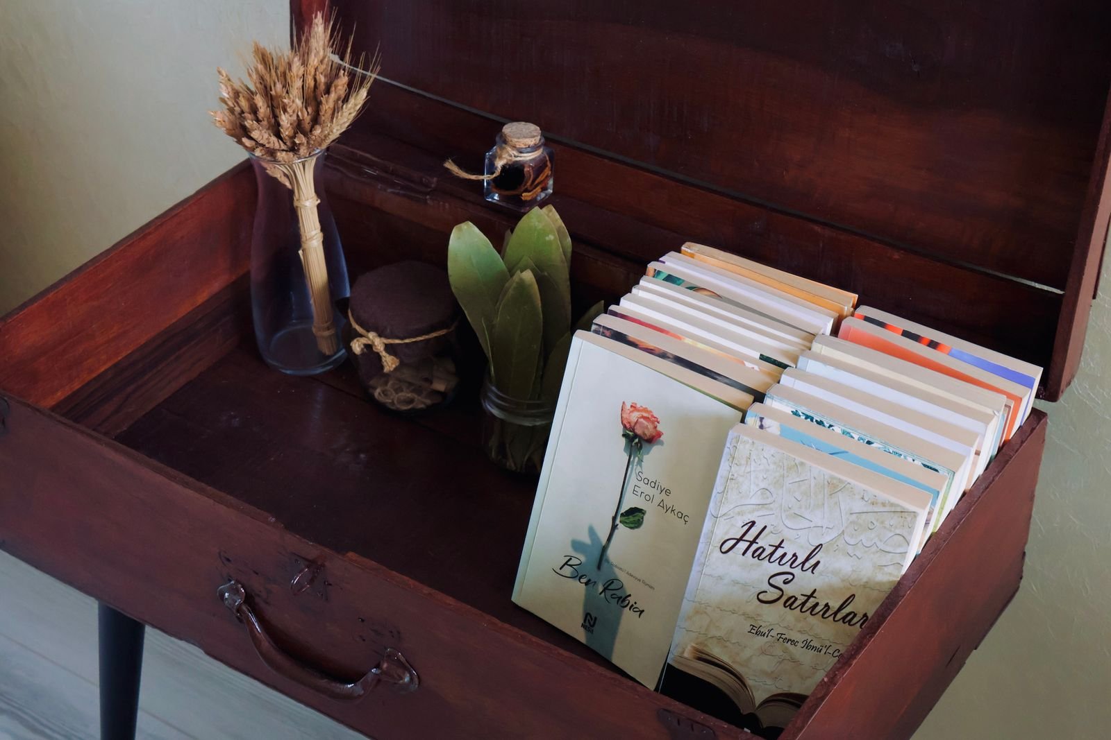 Upcycled vintage suitcase repurposed as a bookshelf